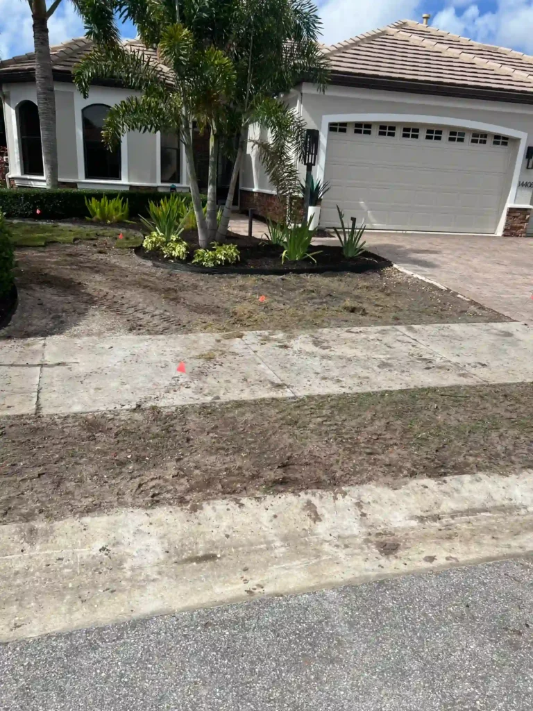 OUR WORK 15 ZOYSIA - DURING
