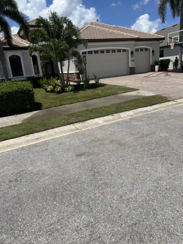 OUR WORK 16 ZOYSIA - COMPLETE