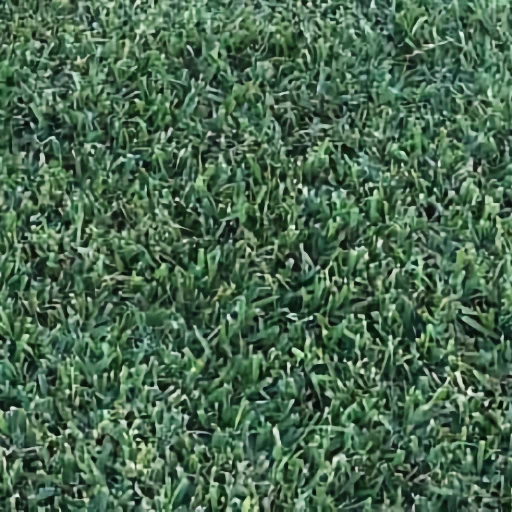 ST. AUGUSTINE SOD - CITRABLUE